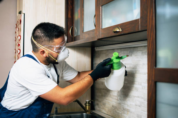 Best Affordable Pest Control Services  in Rossvle, IL