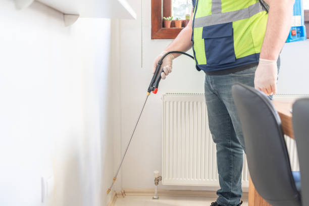 Professional Pest Control in Rossville, IL