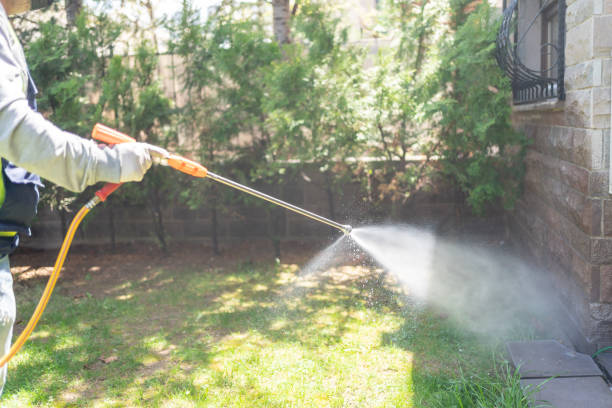 Best Rat Extermination Near Me  in Rossvle, IL