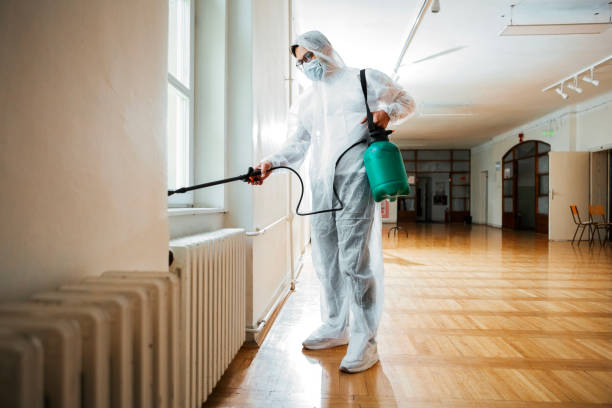 Wildlife Control Services in Rossville, IL