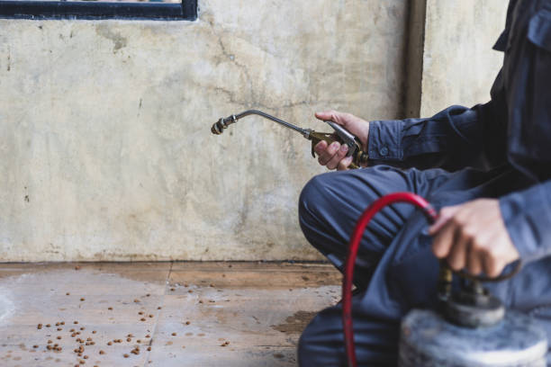 Best Affordable Exterminators  in Rossvle, IL